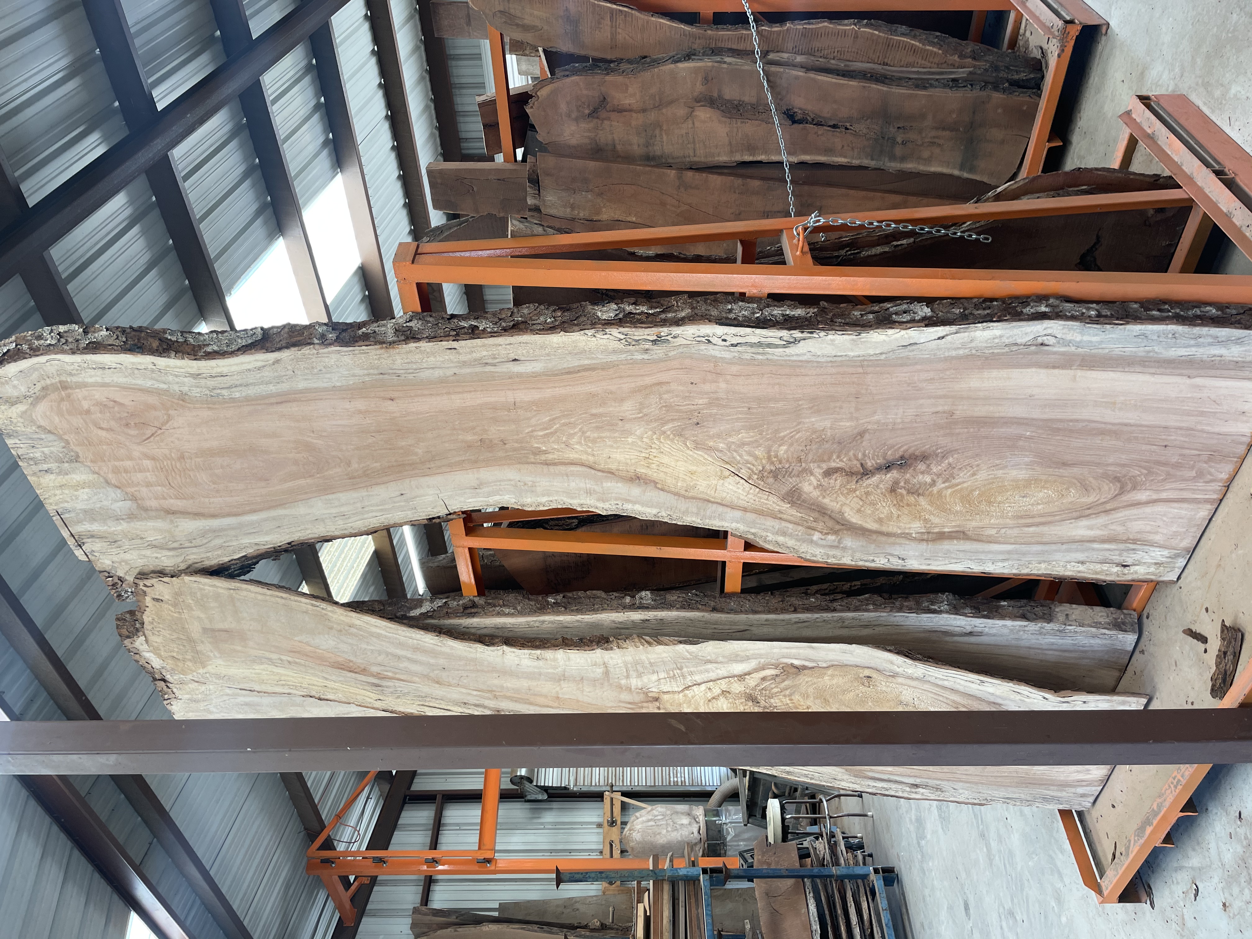 Walnut Slabs (9 more from this tree on hand)