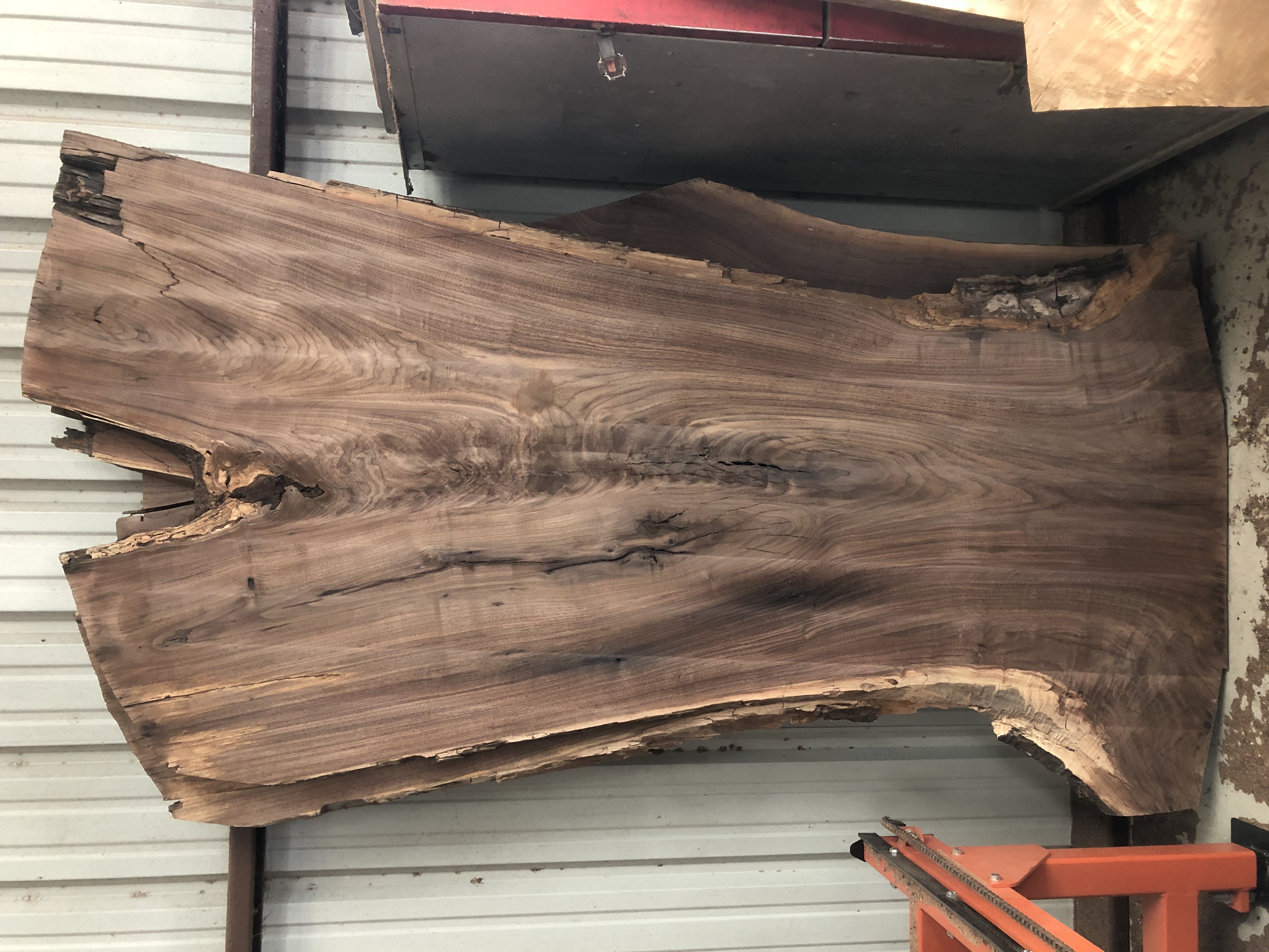Walnut Slabs (5 from this tree on hand)